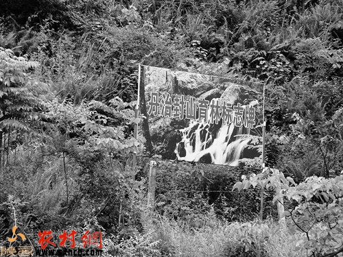 白河县水土保持丹治封山育林标志牌
