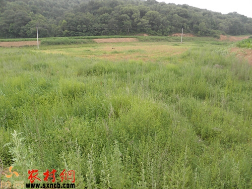 项目第三标段未整改的滩地
