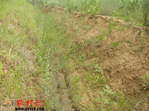项目建设的引水渠渠壁出现塌方
