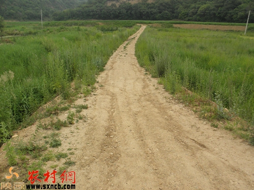 项目建设的未硬化生产道路