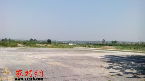 村子东边被强征的地