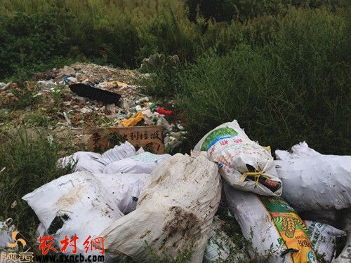 泾阳县城启德实验幼儿园旁边出现大片垃圾无人管
