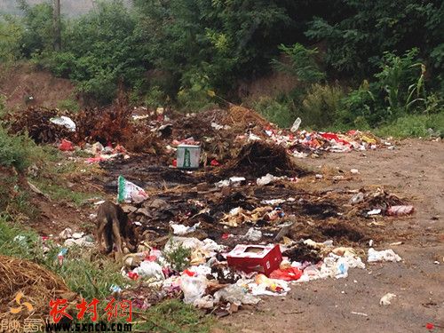 永乐镇南刘村垃圾遍地都是,已然成了野狗的“美味”