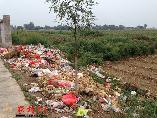 在三渠镇庙张村,道路旁边大片的生活垃圾无人管