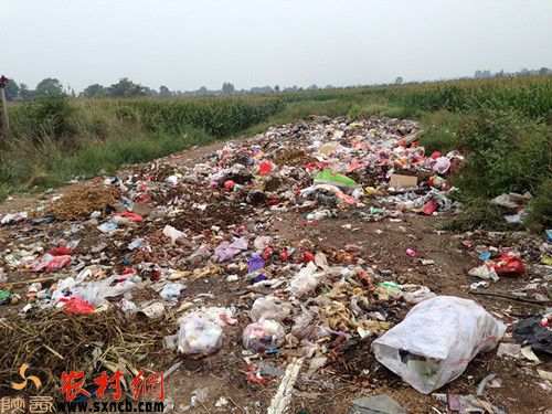三渠镇庙张村庄稼地中间一块空地俨然成为垃圾的主战场