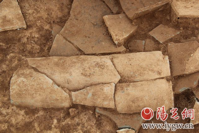 秦东陵四号陵园建筑遗址的瓦片堆积