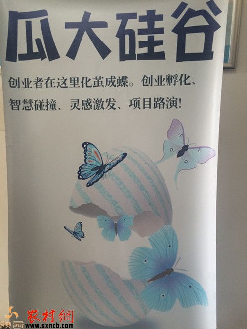 йѧԡҲ洴 һСľͰ͵ȥ