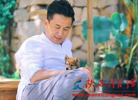 向往的生活小H什么品种 田园犬品种及习性介绍