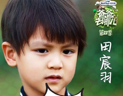 爸爸去哪儿第四季收视率多少 爸爸去哪儿第四季收视率介绍