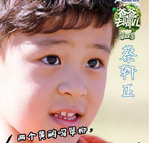 爸爸去哪儿第四季收视率多少 爸爸去哪儿第四季收视率介绍