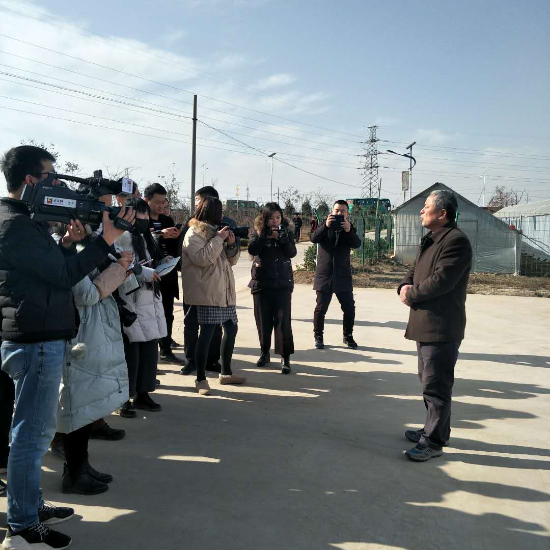 《脱贫攻坚渭南在行动》合阳篇“三变改革”新机制引领脱贫致富路