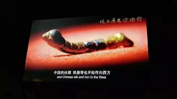 陕西历史博物馆官方专题片中的“鎏金铜蚕”_副本.jpg